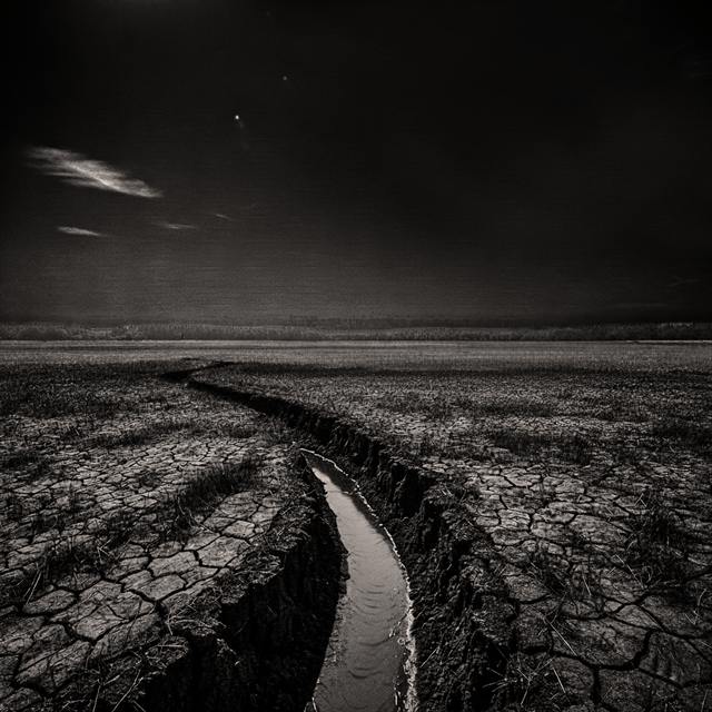 Série Still life — Landscape — image 3 sur 28