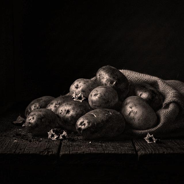 Série Still life — Landscape — image 4 sur 28