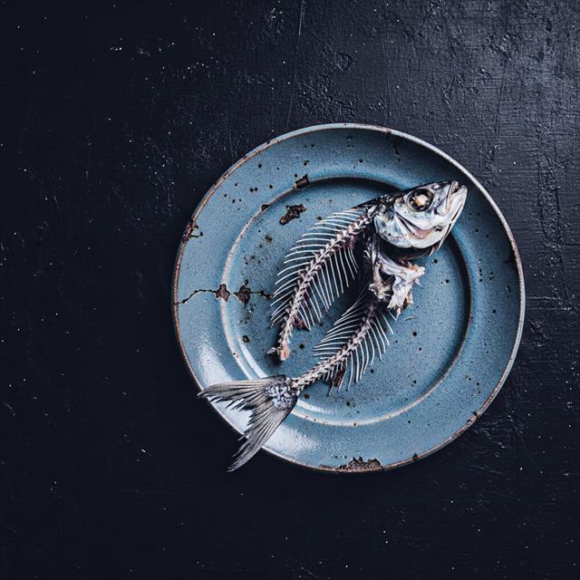 Série Still life — Landscape — image 12 sur 28