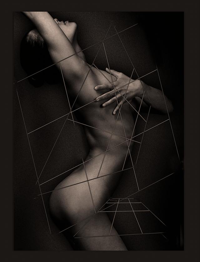 Série Works — Exhibitions — image 42 sur 110
