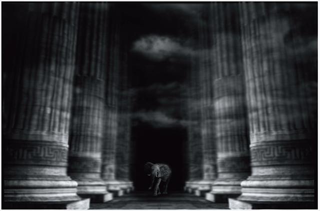 Série Works — Exhibitions — image 63 sur 110